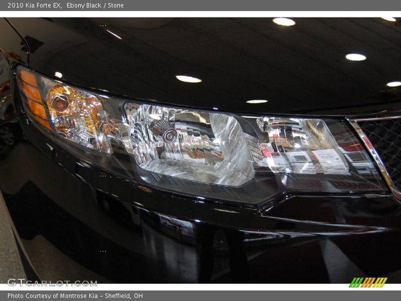 Ebony Black / Stone 2010 Kia Forte EX
