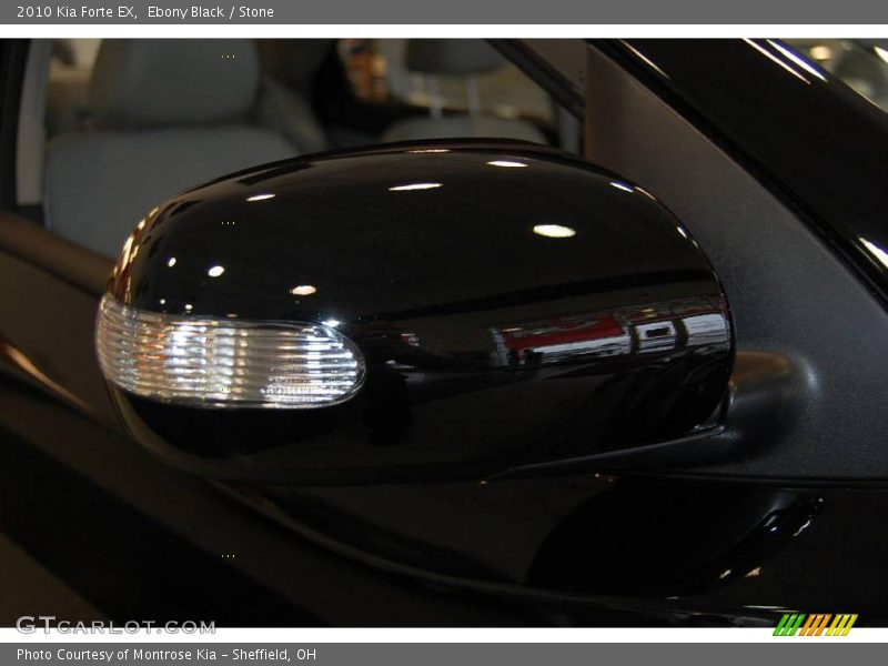 Ebony Black / Stone 2010 Kia Forte EX