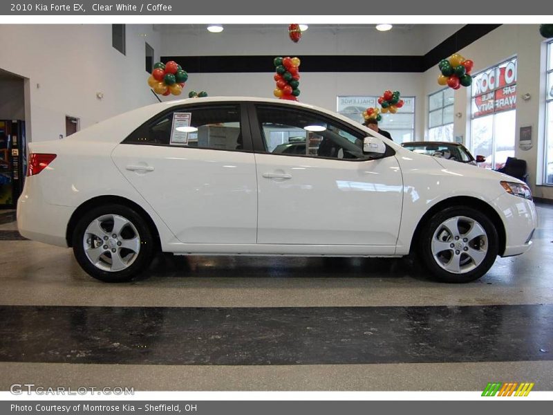 Clear White / Coffee 2010 Kia Forte EX