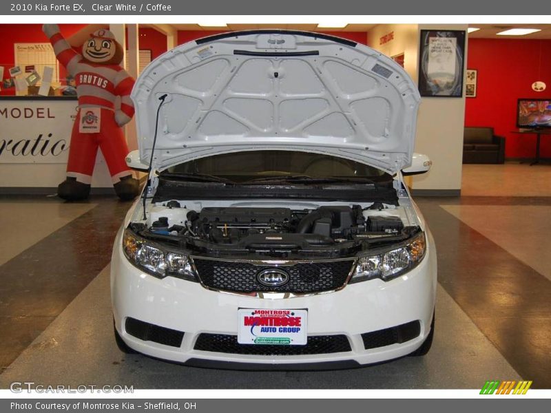 Clear White / Coffee 2010 Kia Forte EX