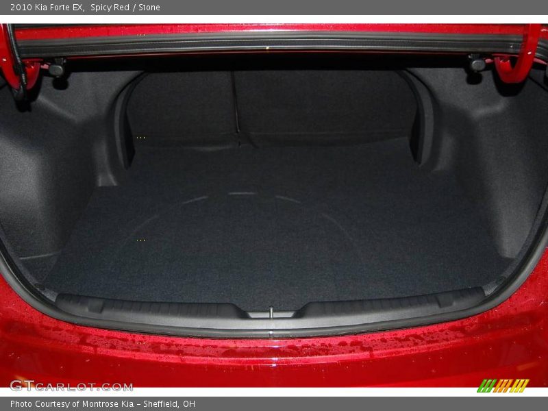 Spicy Red / Stone 2010 Kia Forte EX