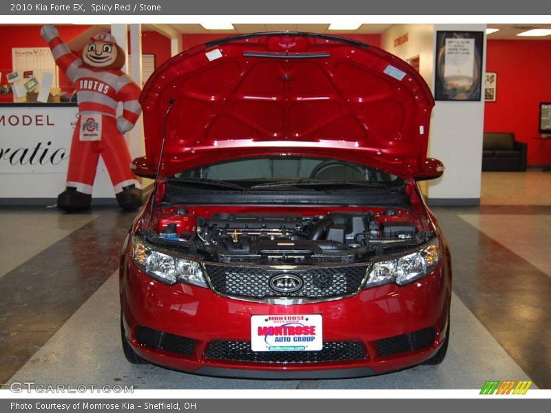 Spicy Red / Stone 2010 Kia Forte EX