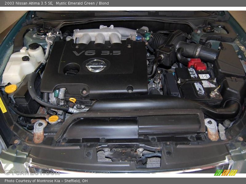 Mystic Emerald Green / Blond 2003 Nissan Altima 3.5 SE