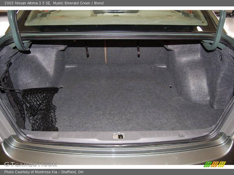 Mystic Emerald Green / Blond 2003 Nissan Altima 3.5 SE