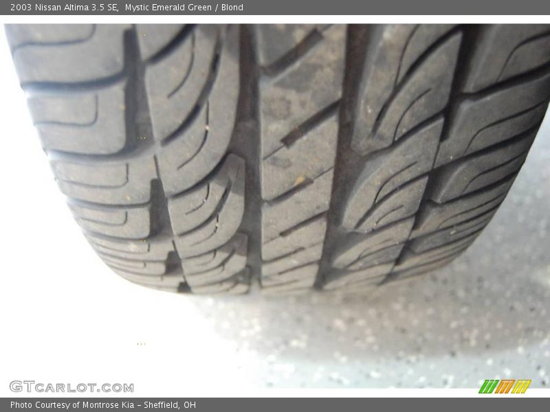 Mystic Emerald Green / Blond 2003 Nissan Altima 3.5 SE