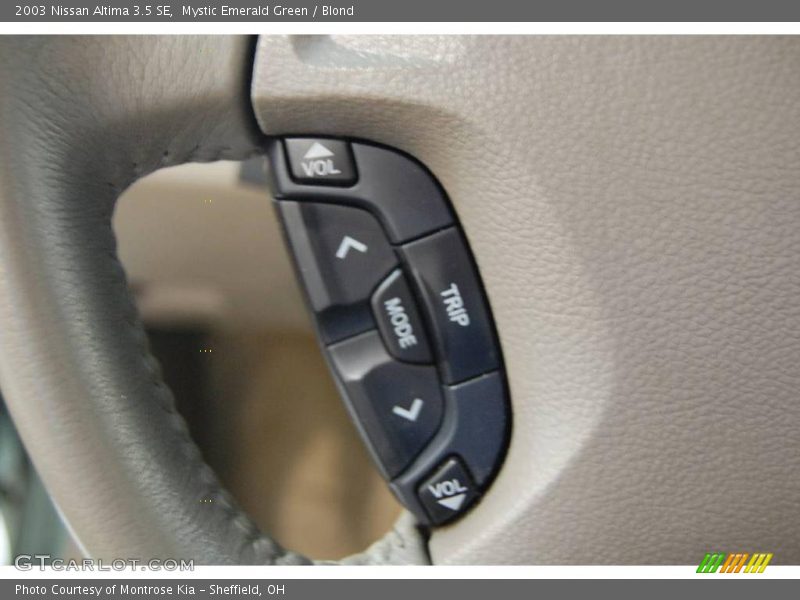 Mystic Emerald Green / Blond 2003 Nissan Altima 3.5 SE