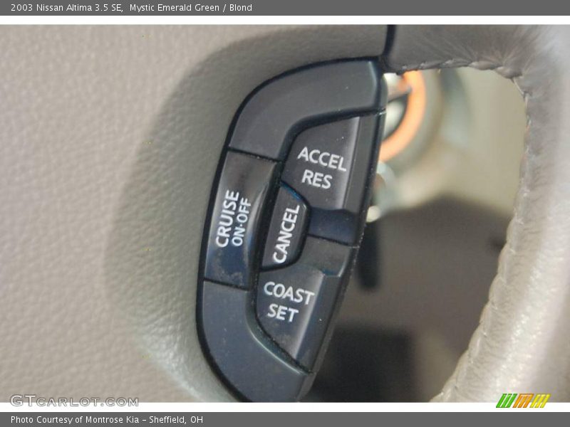 Mystic Emerald Green / Blond 2003 Nissan Altima 3.5 SE