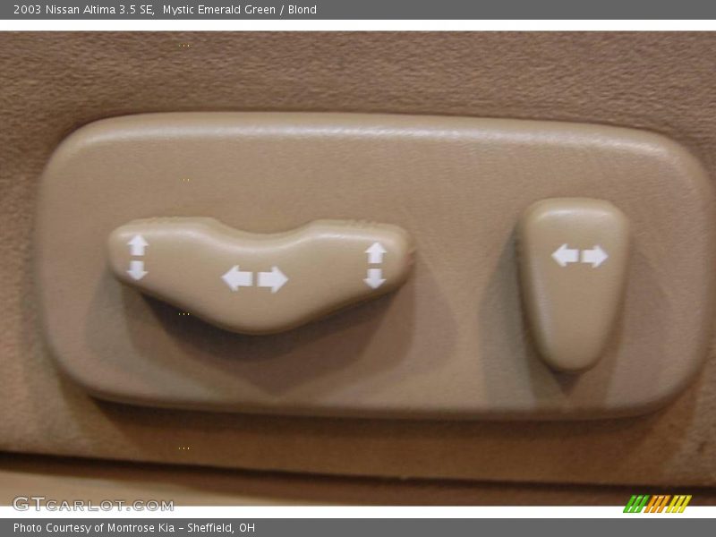 Mystic Emerald Green / Blond 2003 Nissan Altima 3.5 SE