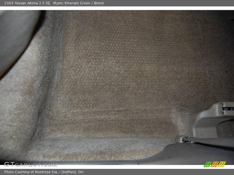 Mystic Emerald Green / Blond 2003 Nissan Altima 3.5 SE