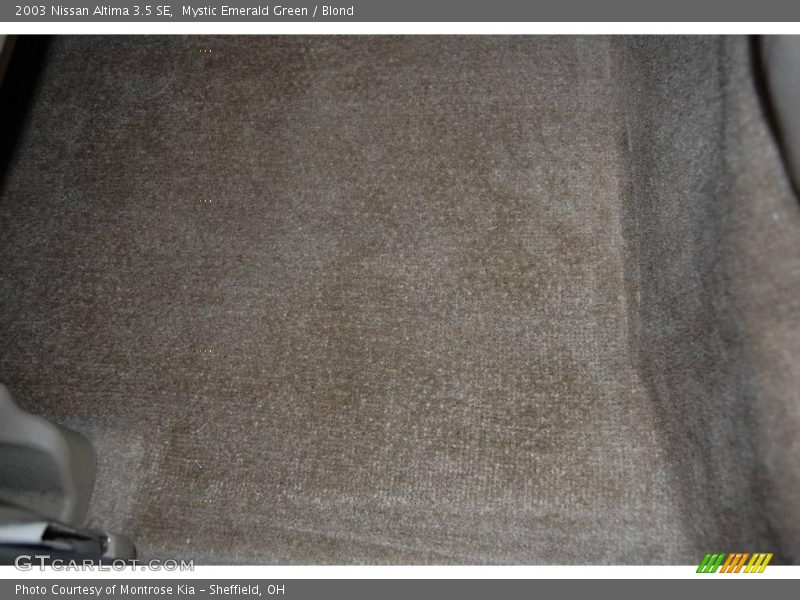 Mystic Emerald Green / Blond 2003 Nissan Altima 3.5 SE
