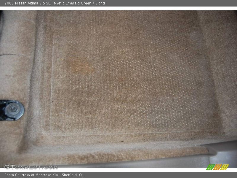 Mystic Emerald Green / Blond 2003 Nissan Altima 3.5 SE