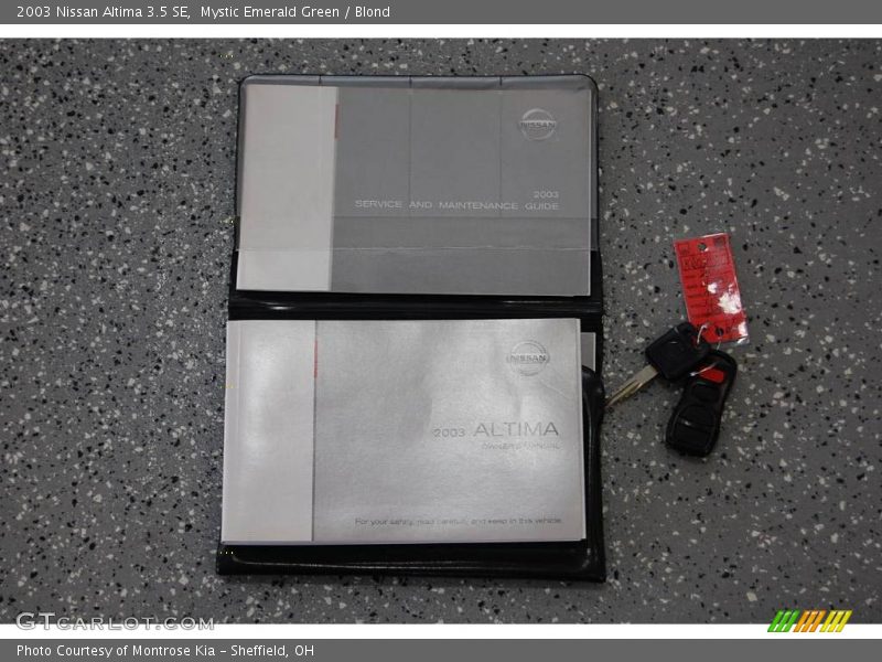 Mystic Emerald Green / Blond 2003 Nissan Altima 3.5 SE