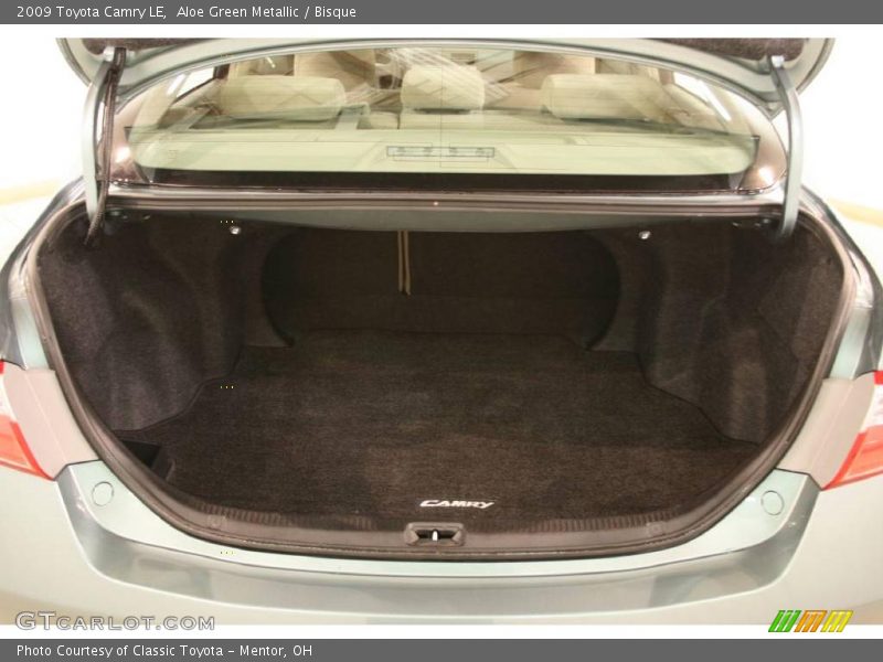 Aloe Green Metallic / Bisque 2009 Toyota Camry LE