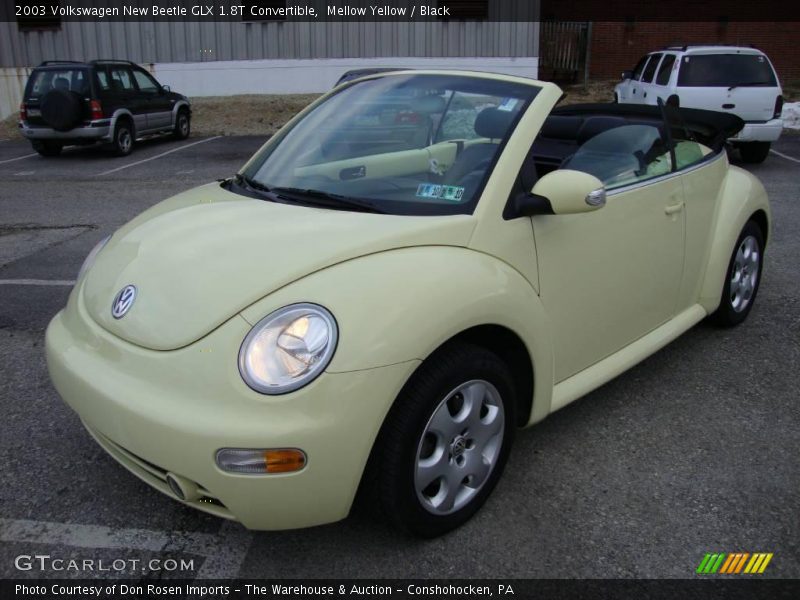 Mellow Yellow / Black 2003 Volkswagen New Beetle GLX 1.8T Convertible