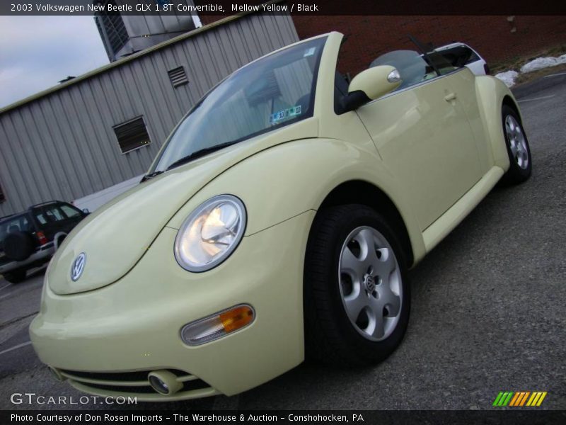 Mellow Yellow / Black 2003 Volkswagen New Beetle GLX 1.8T Convertible