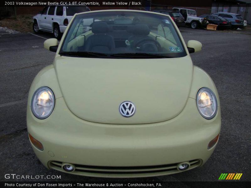 Mellow Yellow / Black 2003 Volkswagen New Beetle GLX 1.8T Convertible