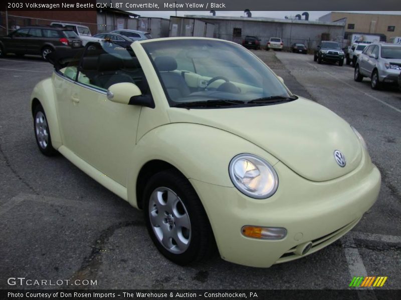 Mellow Yellow / Black 2003 Volkswagen New Beetle GLX 1.8T Convertible