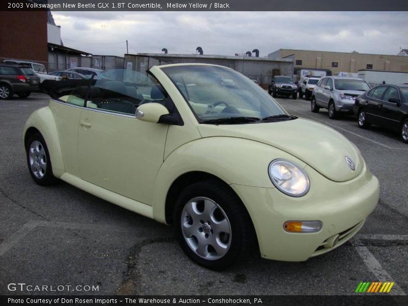 Mellow Yellow / Black 2003 Volkswagen New Beetle GLX 1.8T Convertible
