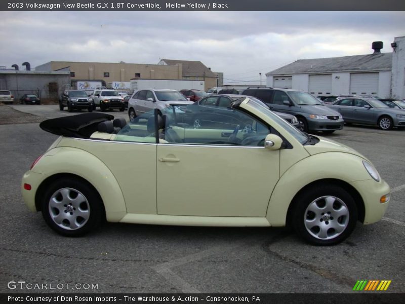 Mellow Yellow / Black 2003 Volkswagen New Beetle GLX 1.8T Convertible
