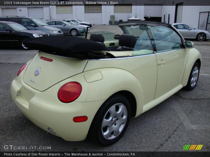 Mellow Yellow / Black 2003 Volkswagen New Beetle GLX 1.8T Convertible