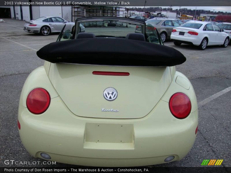 Mellow Yellow / Black 2003 Volkswagen New Beetle GLX 1.8T Convertible