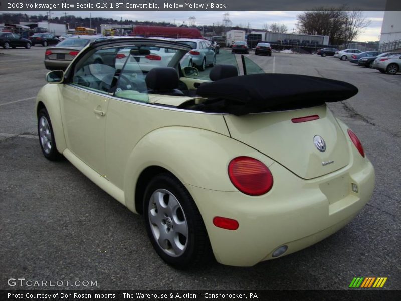 Mellow Yellow / Black 2003 Volkswagen New Beetle GLX 1.8T Convertible