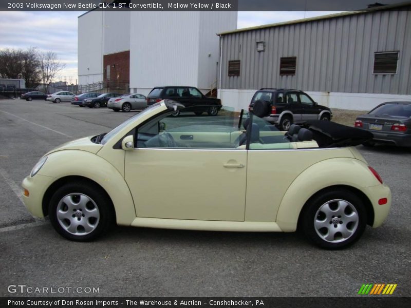 Mellow Yellow / Black 2003 Volkswagen New Beetle GLX 1.8T Convertible