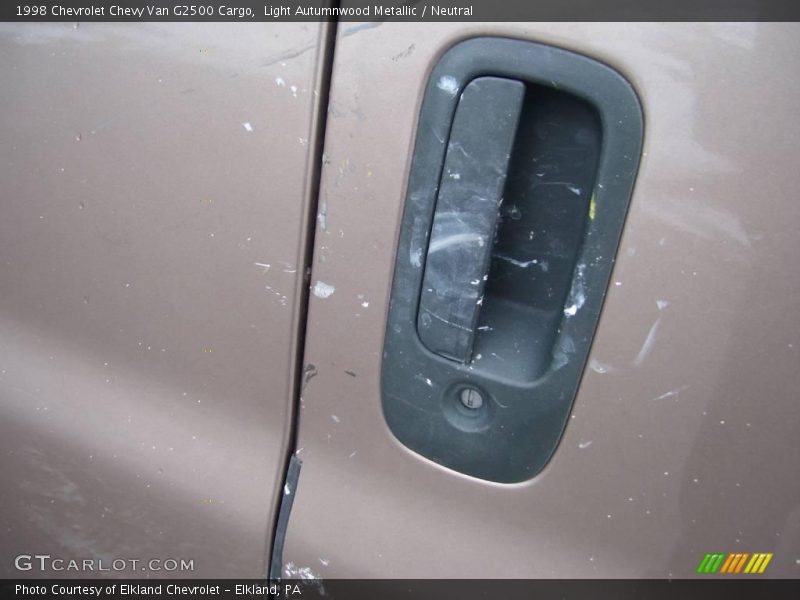 Light Autumnwood Metallic / Neutral 1998 Chevrolet Chevy Van G2500 Cargo