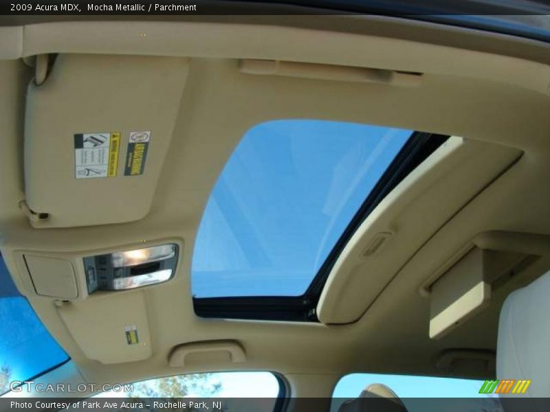 Mocha Metallic / Parchment 2009 Acura MDX