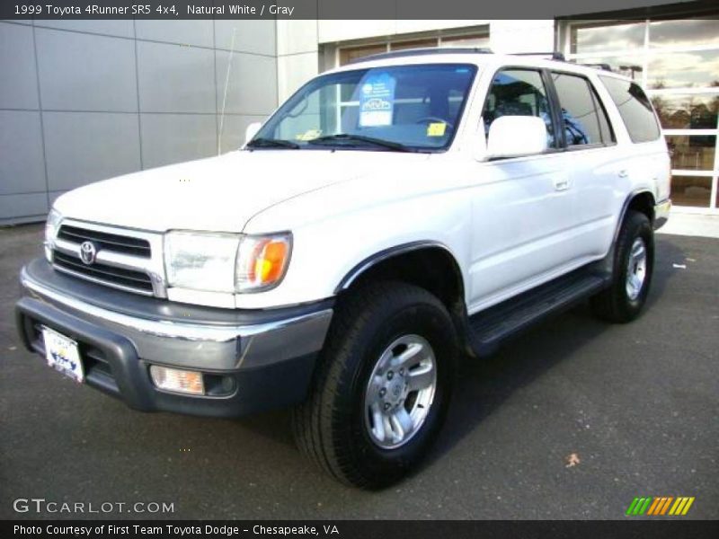 Natural White / Gray 1999 Toyota 4Runner SR5 4x4