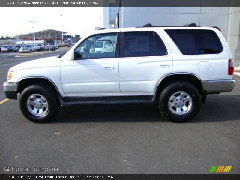 Natural White / Gray 1999 Toyota 4Runner SR5 4x4