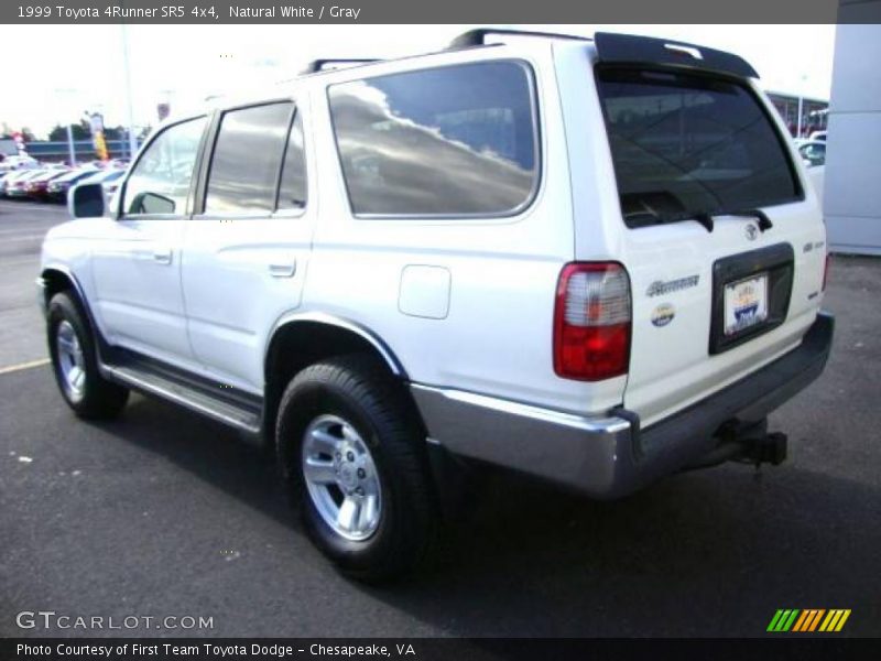 Natural White / Gray 1999 Toyota 4Runner SR5 4x4