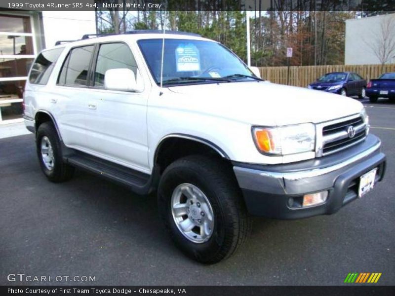 Natural White / Gray 1999 Toyota 4Runner SR5 4x4