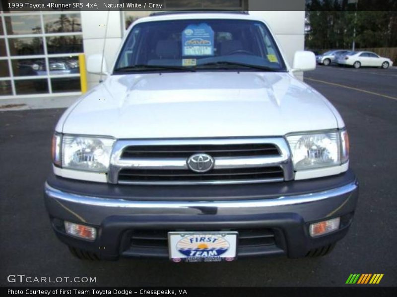 Natural White / Gray 1999 Toyota 4Runner SR5 4x4