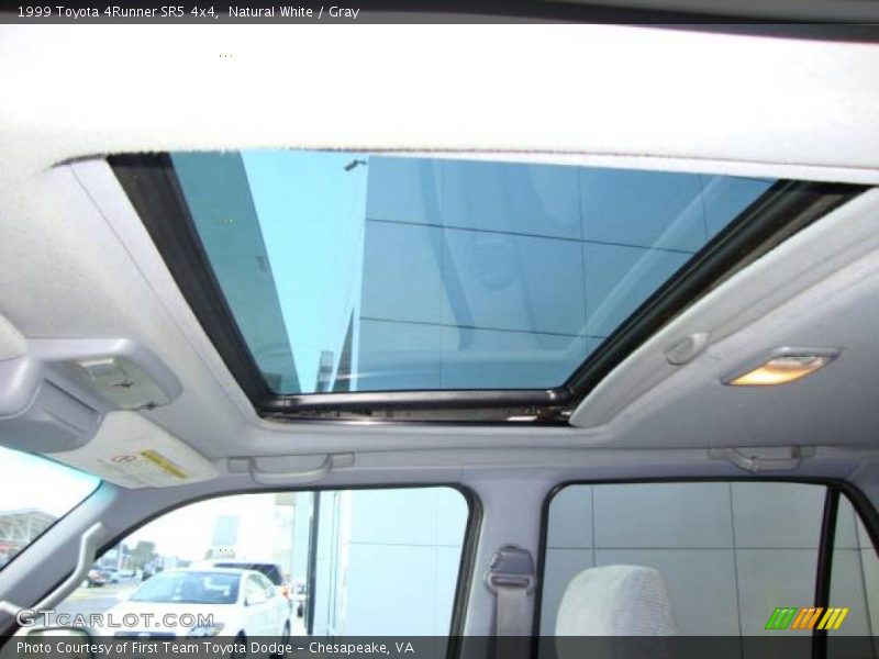 Natural White / Gray 1999 Toyota 4Runner SR5 4x4