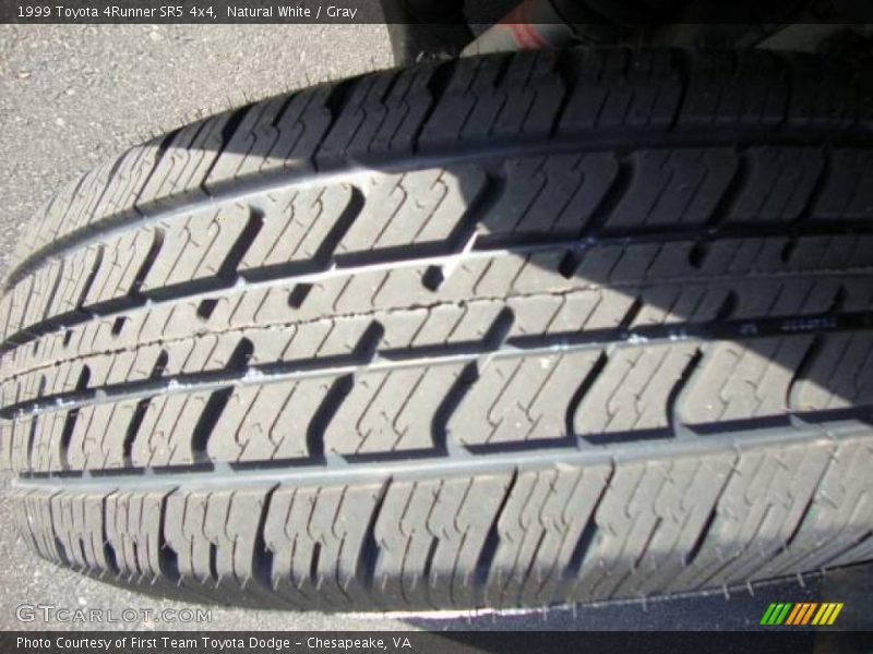 Natural White / Gray 1999 Toyota 4Runner SR5 4x4