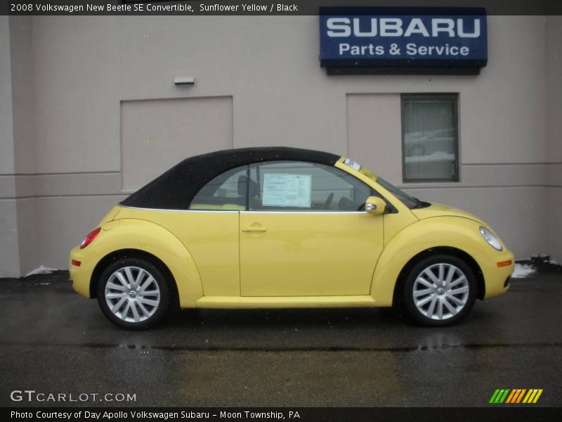 Sunflower Yellow / Black 2008 Volkswagen New Beetle SE Convertible