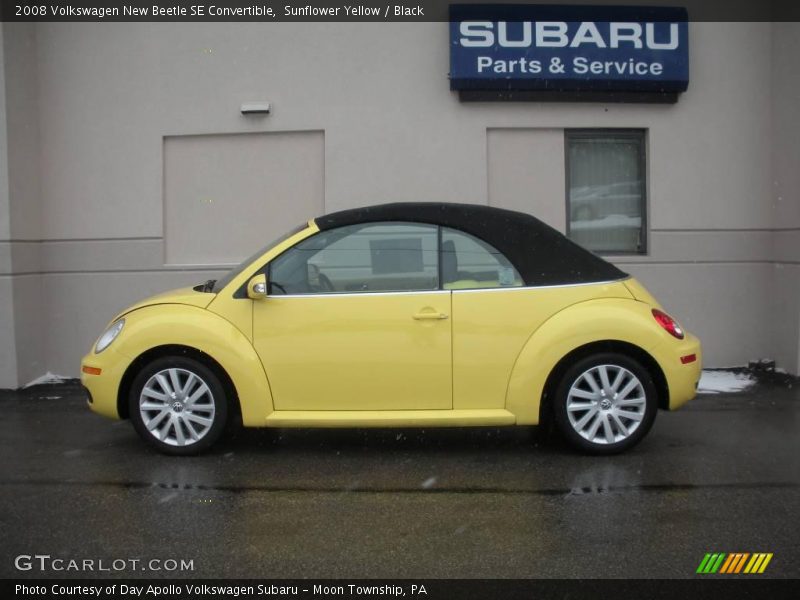 Sunflower Yellow / Black 2008 Volkswagen New Beetle SE Convertible