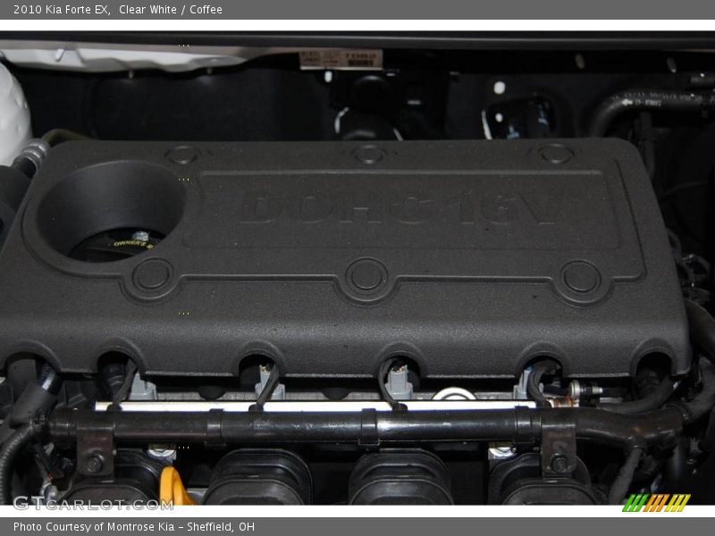 Clear White / Coffee 2010 Kia Forte EX