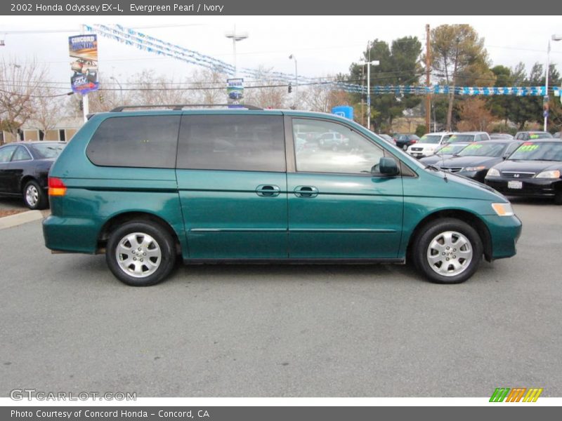 Evergreen Pearl / Ivory 2002 Honda Odyssey EX-L