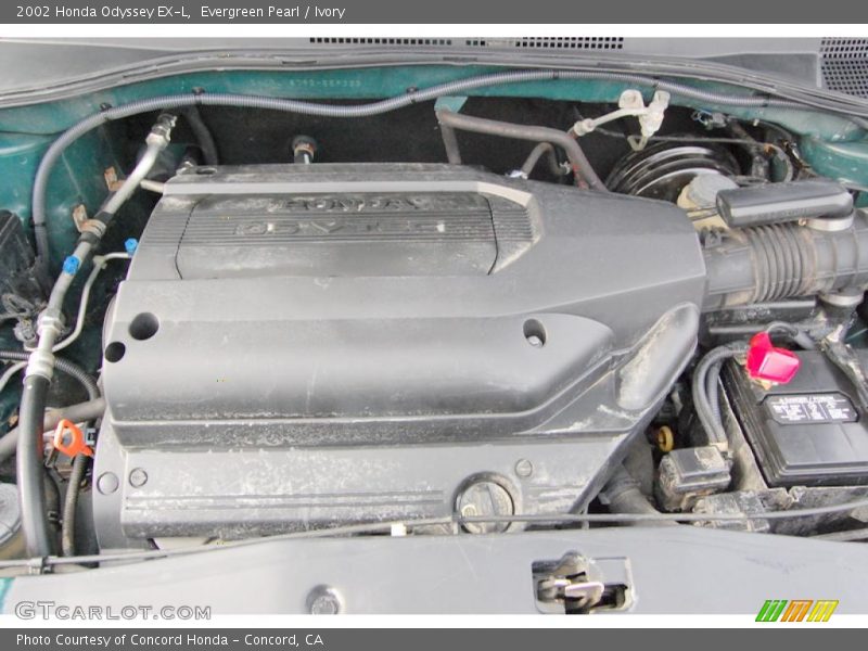 Evergreen Pearl / Ivory 2002 Honda Odyssey EX-L