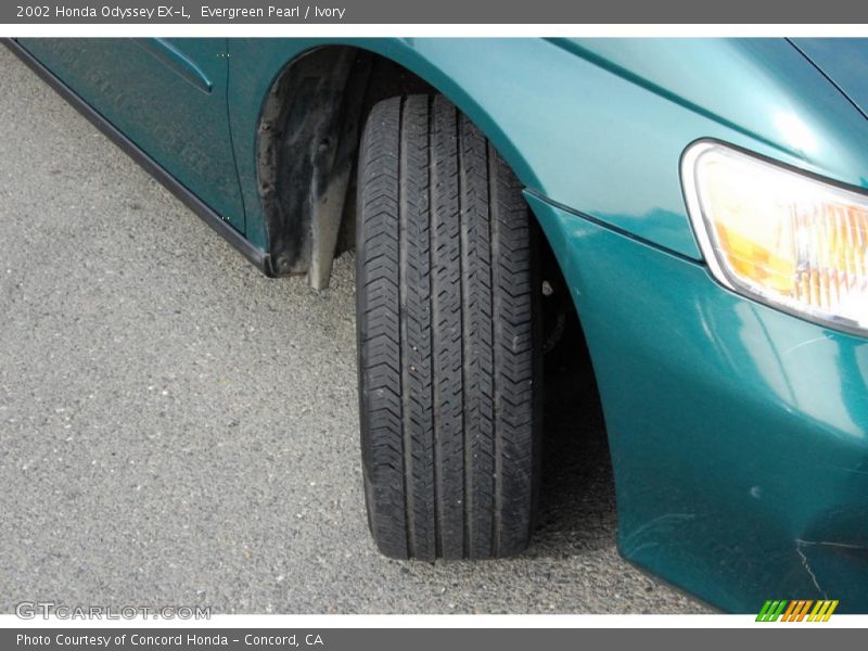 Evergreen Pearl / Ivory 2002 Honda Odyssey EX-L