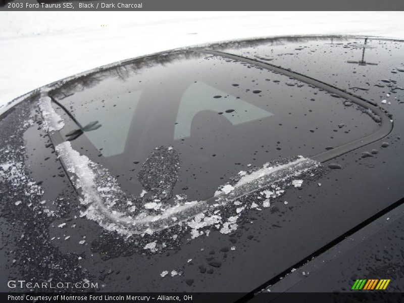 Black / Dark Charcoal 2003 Ford Taurus SES