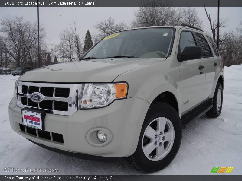 Light Sage Metallic / Camel 2008 Ford Escape XLT