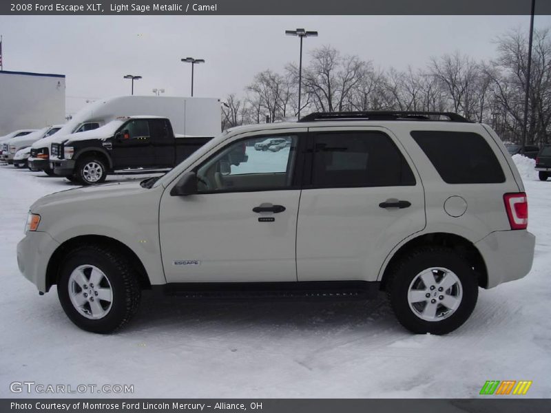 Light Sage Metallic / Camel 2008 Ford Escape XLT