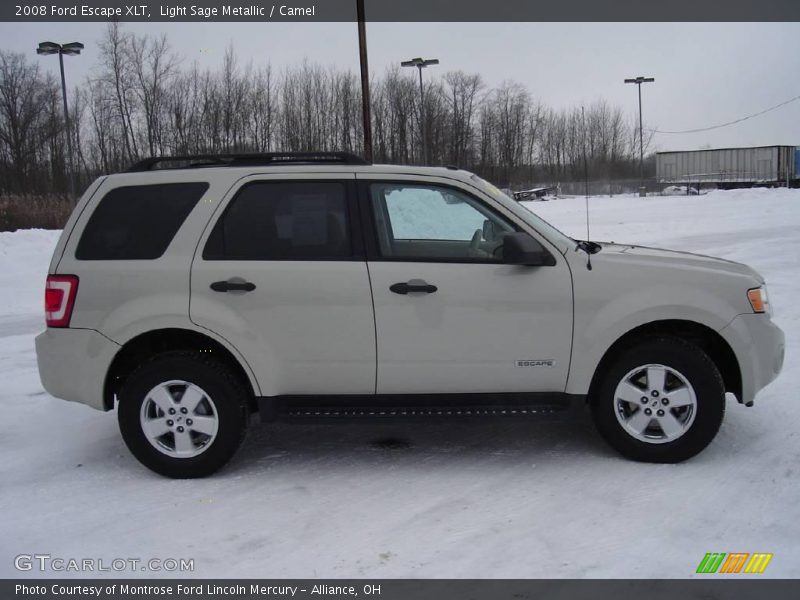 Light Sage Metallic / Camel 2008 Ford Escape XLT