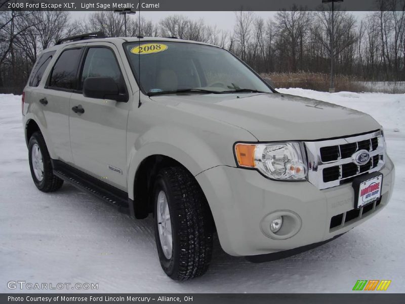 Light Sage Metallic / Camel 2008 Ford Escape XLT