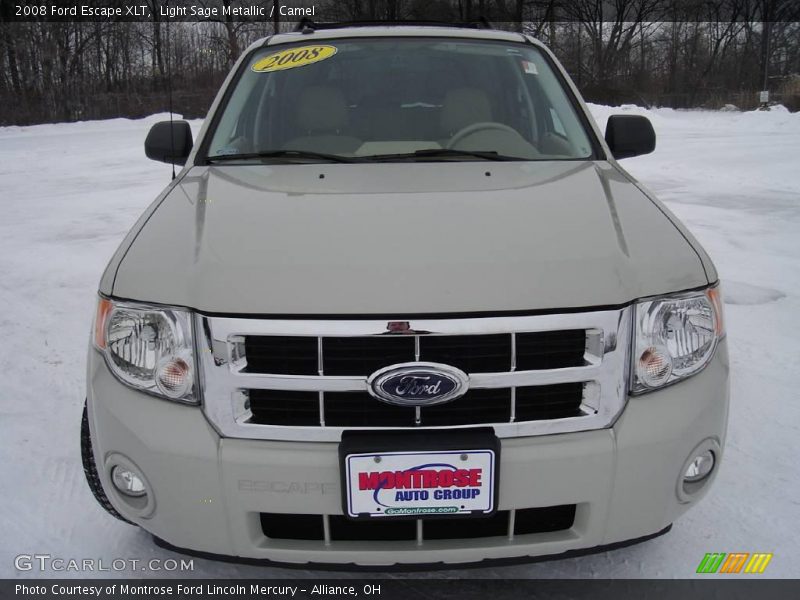 Light Sage Metallic / Camel 2008 Ford Escape XLT