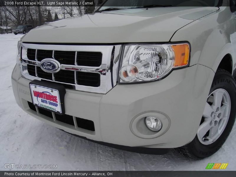 Light Sage Metallic / Camel 2008 Ford Escape XLT