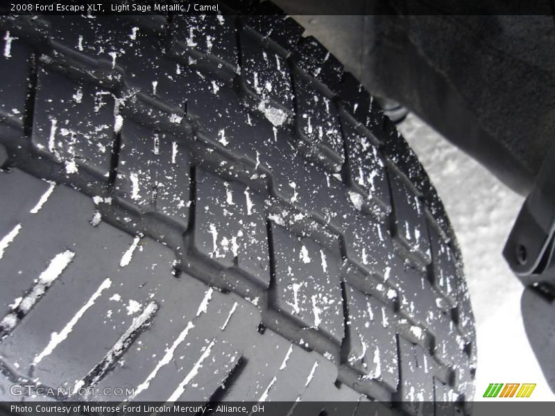 Light Sage Metallic / Camel 2008 Ford Escape XLT